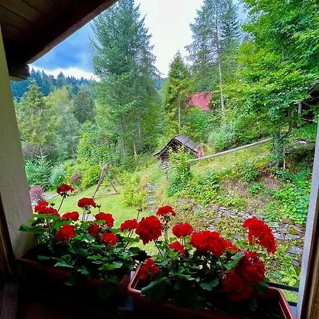 Siedlisko U Jana * コルビエルフ