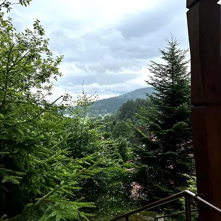 ホームステイ Siedlisko U Jana コルビエルフ