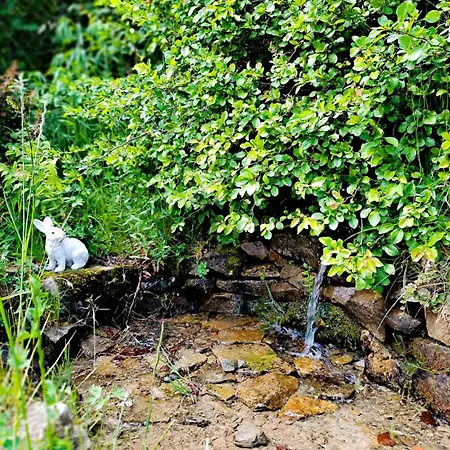 Siedlisko U Jana ホームステイ コルビエルフ