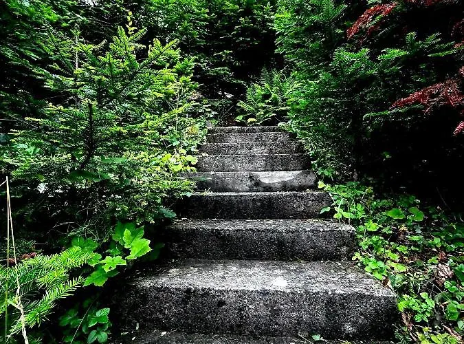 Siedlisko U Jana * Korbielów