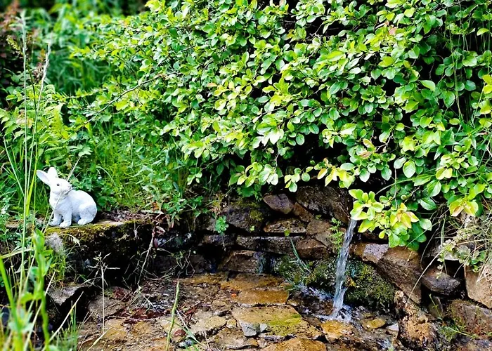 Siedlisko U Jana منزل للإقامة كوربييلوف